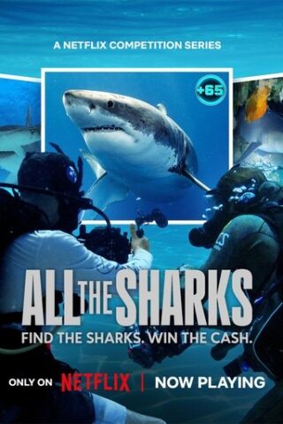 Todos los tiburones